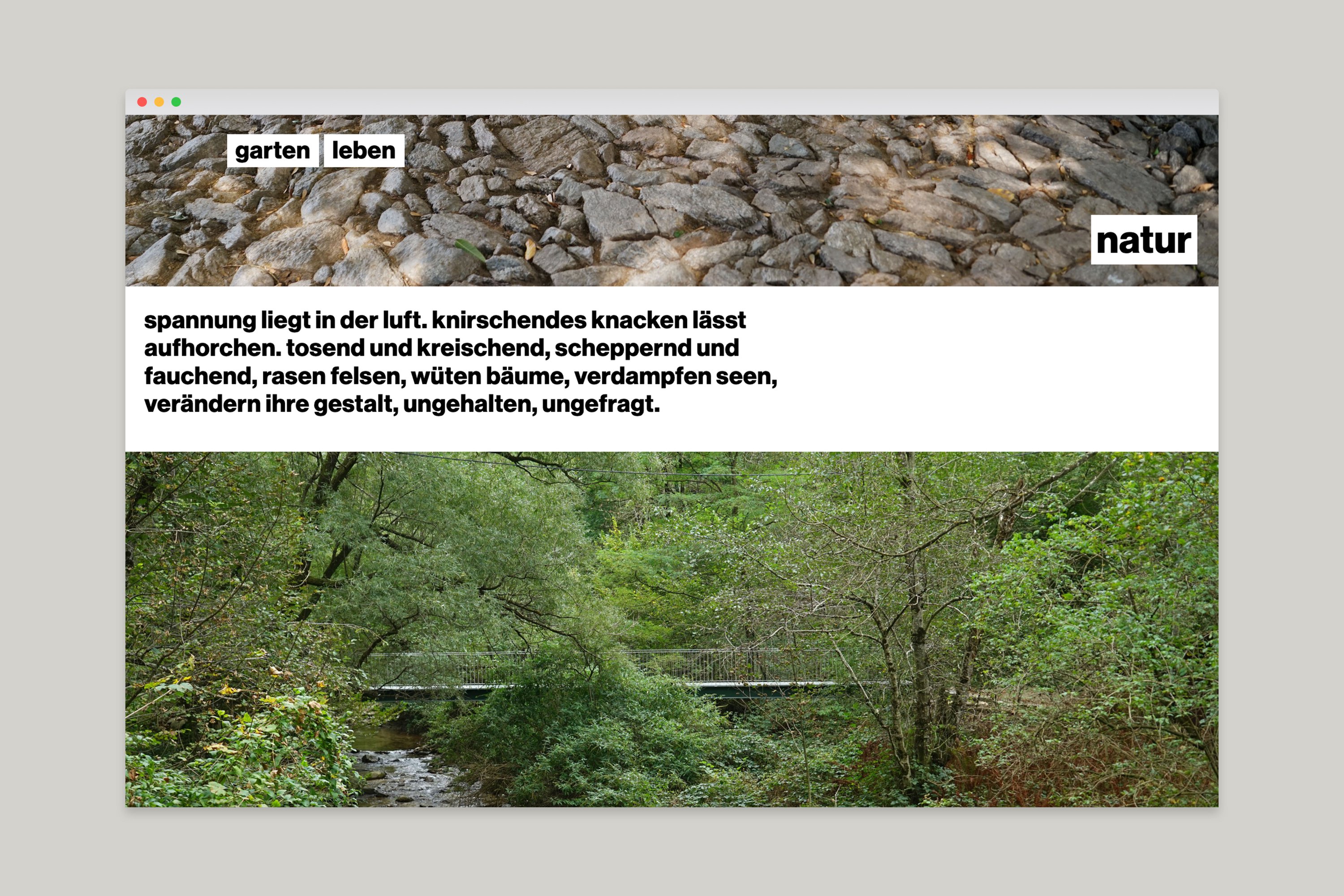 kong website naturgartenleben 2019